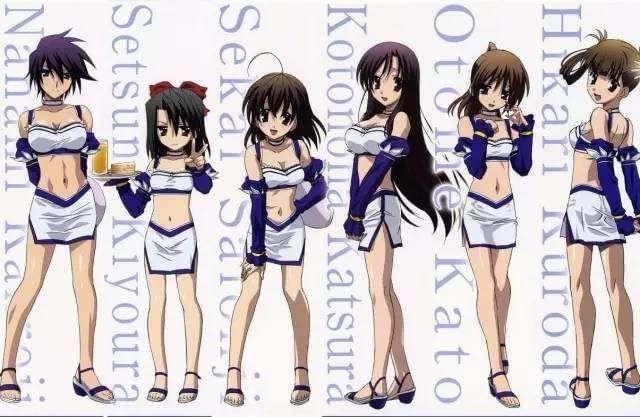 逐木鸟系列 科普图书或视频系列