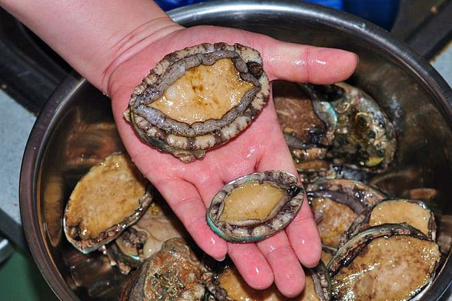 国产色噜噜噜在线精品 我非常乐意为你提供帮助