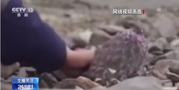 战斗番 包含大量高水准魔法战