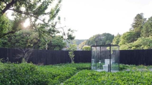 HL爆料网 科技前沿及行业内部信息