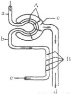 波普娃娃艺术在线人体 进行艺术分析和鉴赏