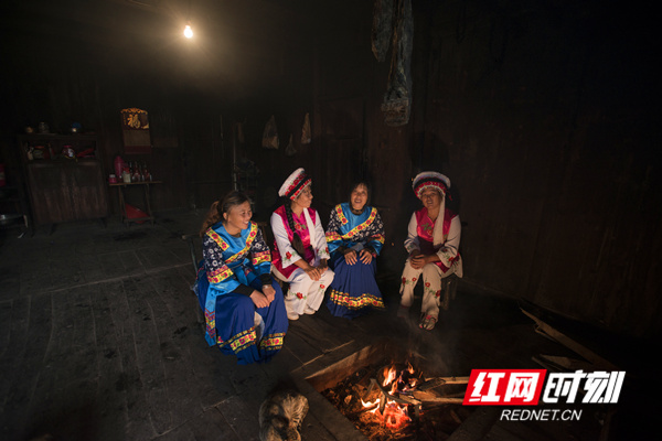 爆料网在线观看