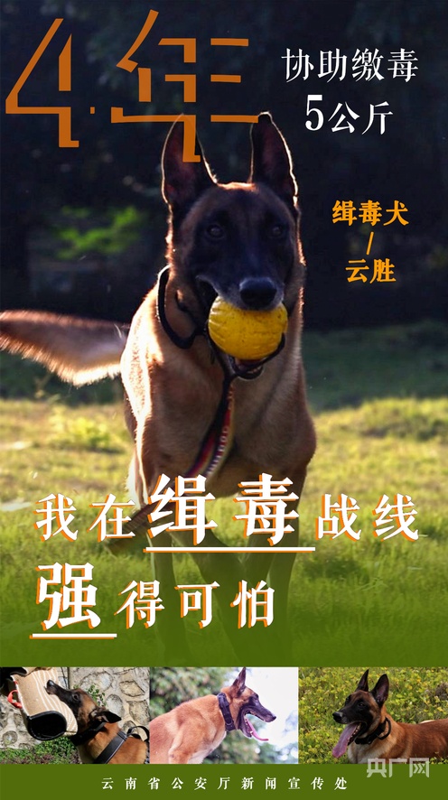 吃瓜事件 热点事件平均延迟约15-30分钟