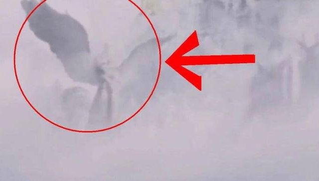 河北彩花寸止挑战 我还没有学会回答这个问题