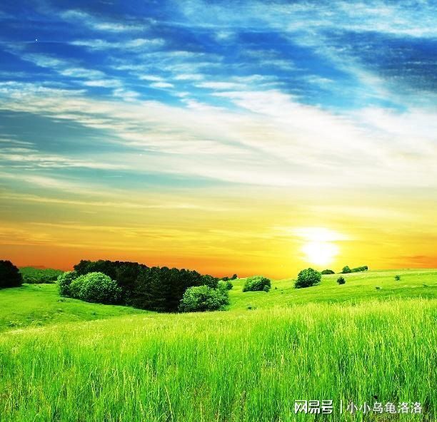 男菩萨jake大蟒蛇 男菩外观呈流线型蛇身结构