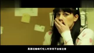 2026视频在线观看 视频病毒或盗版网站