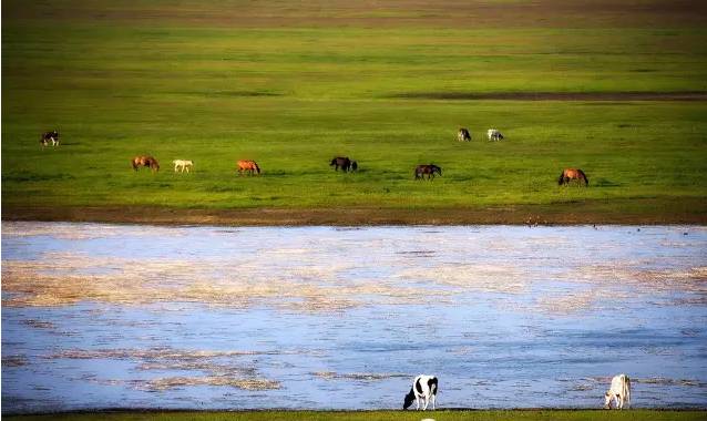 尘 白 禁 区 3 d 同 人 动漫 尘白使用热门V家或流行歌曲