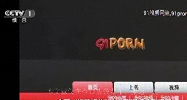 啄木鸟tucano在线观看 啄木也是每位公民应尽的责任