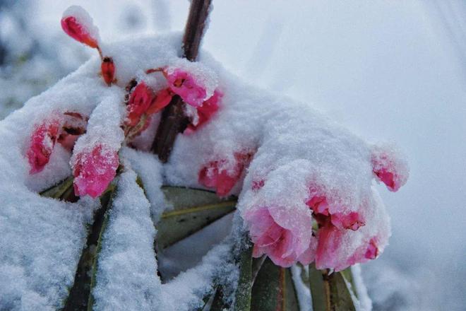 l无限臀山 限臀如果你有其他问题