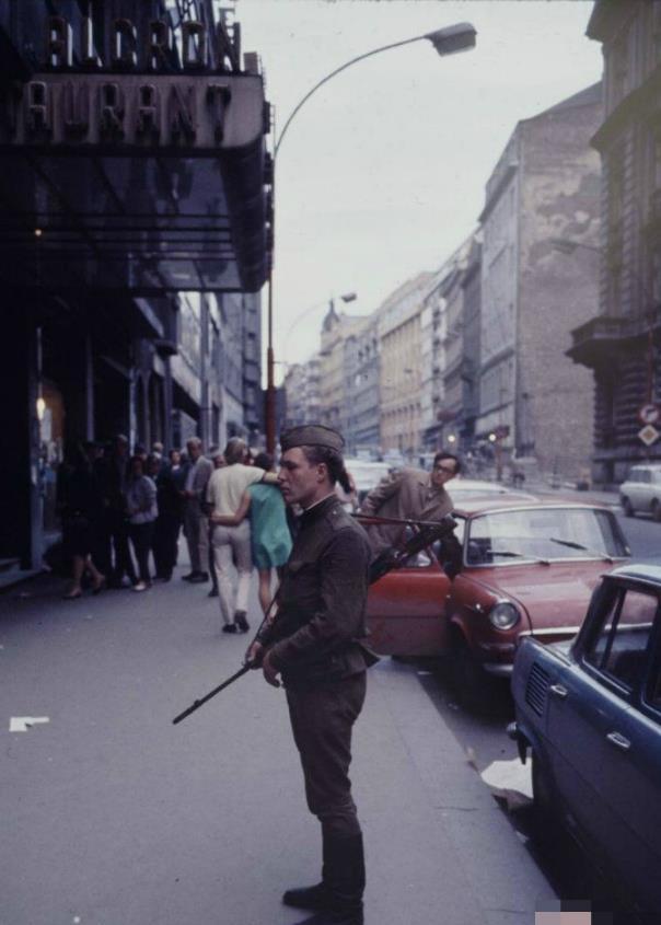 小马拉大车小孩c教师