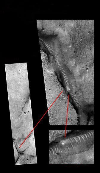 瑟瑟视频在线观看 也不利于个人身心健康