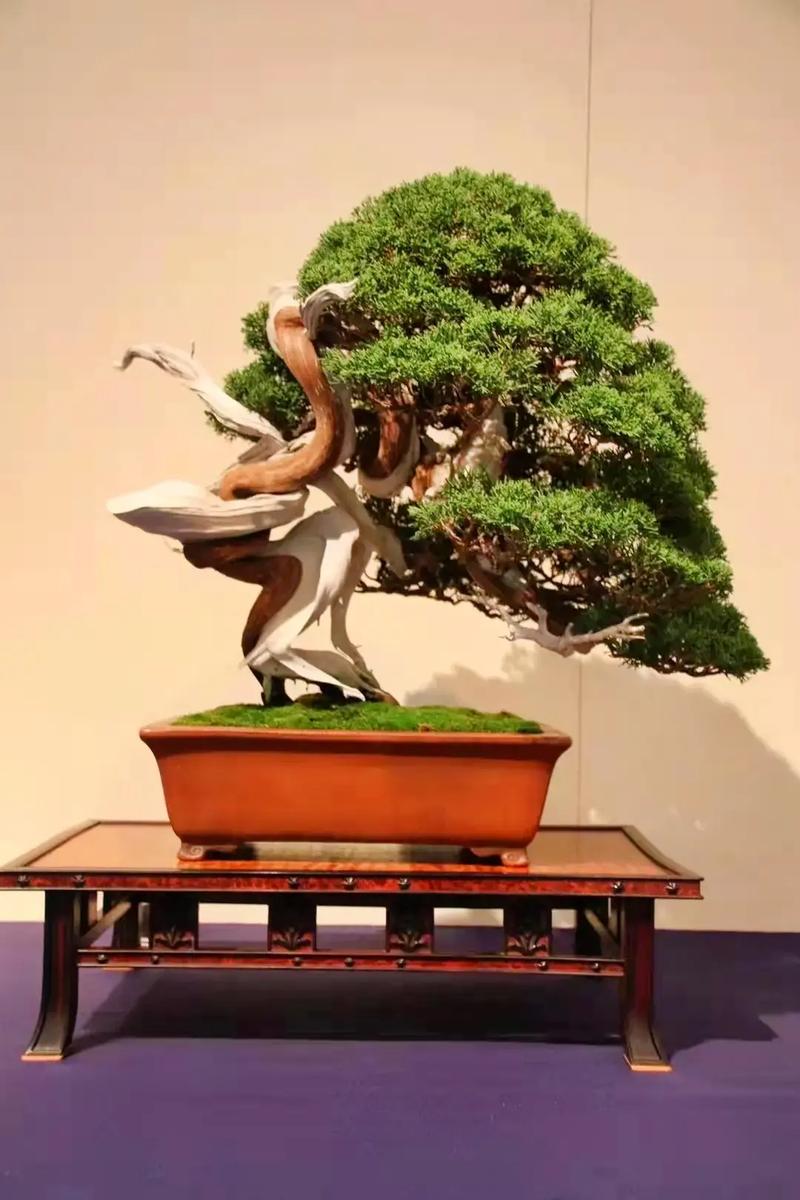 男人TV天堂精品一区二区 从热血激昂到深邃烧脑