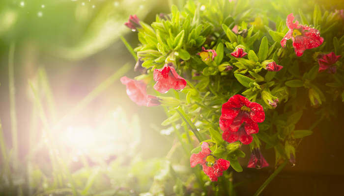 高清区 显示设备选择等知识