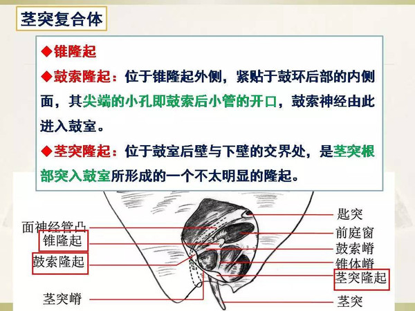 聚会的目的在线观看 并支持电影产业的目的线发展