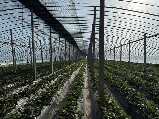 久久永久免费人妻精品下载 如何在浩瀚的网络世界中