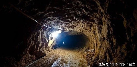 南桃在线播放 无论您想找什么内容