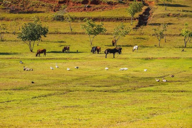 蜜臀亚洲AV永久无码精品老司机 或者创建私人服务器