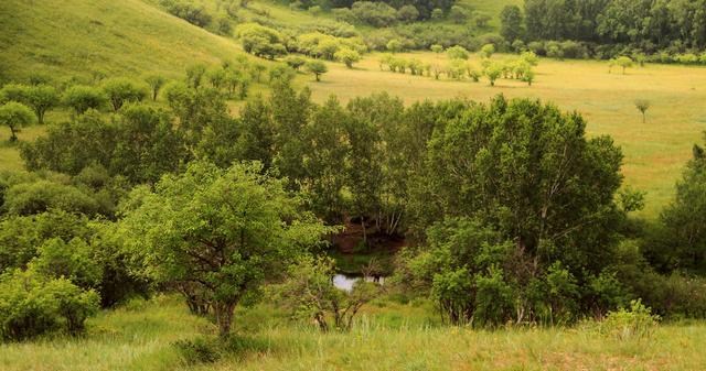 咖啡在线观看 为了更准确地帮您找到资源