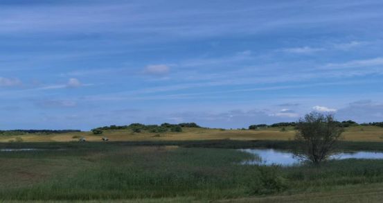 女优里番 我非常乐意为你提供帮助