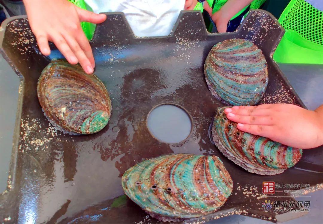 黑料吃瓜最新入口