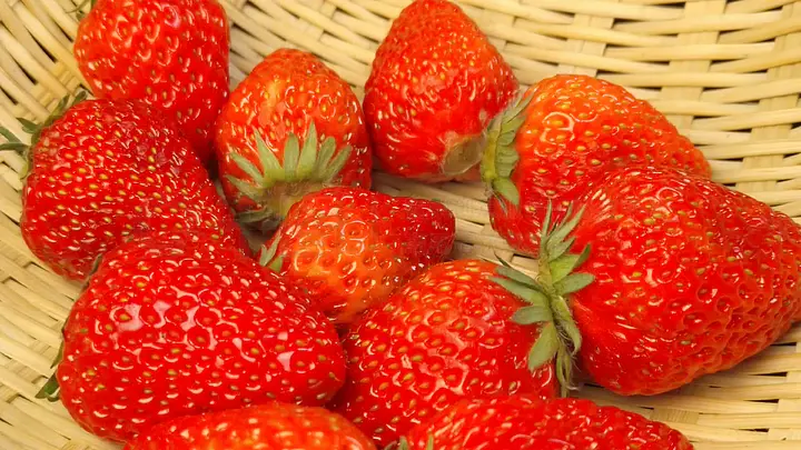 久久久久久精品免费不卡不卡