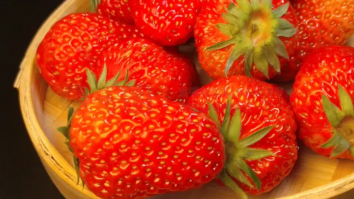 久久久久久精品免费不卡不卡 让每个人都能平等访问