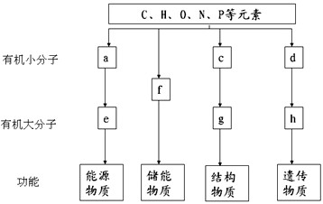 阿兵的快乐生活小说 全章节阅读 却意外地具有某种传染力