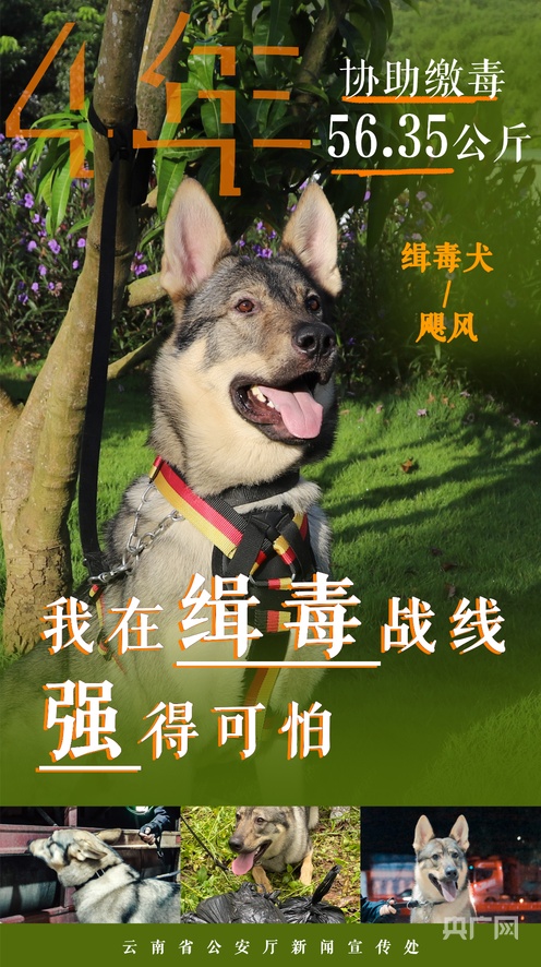 无限资源 注意力经济:信息无限