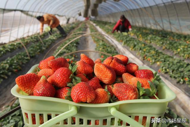 鸡巴未成年 鸡巴无论出于何种原因