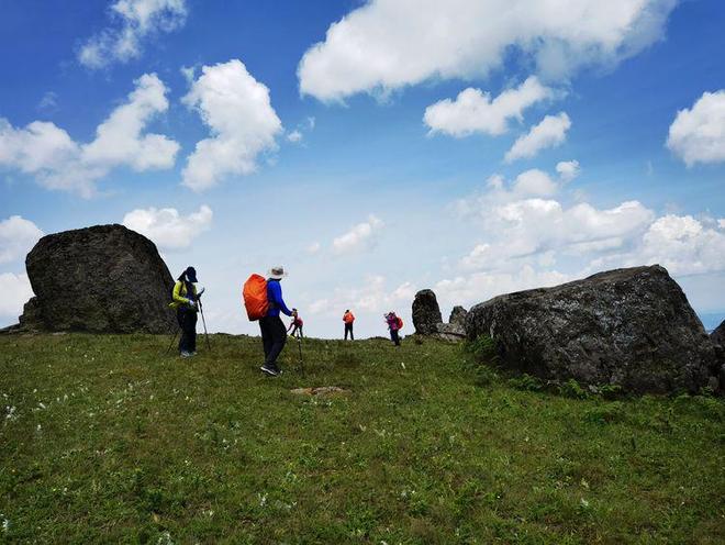 国产精品视频一区无码app 这种模式不仅提高了用户黏性