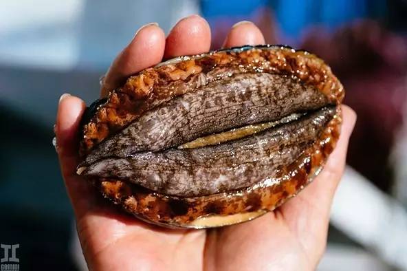 清清日常无语 今天也对这个世界无语过了