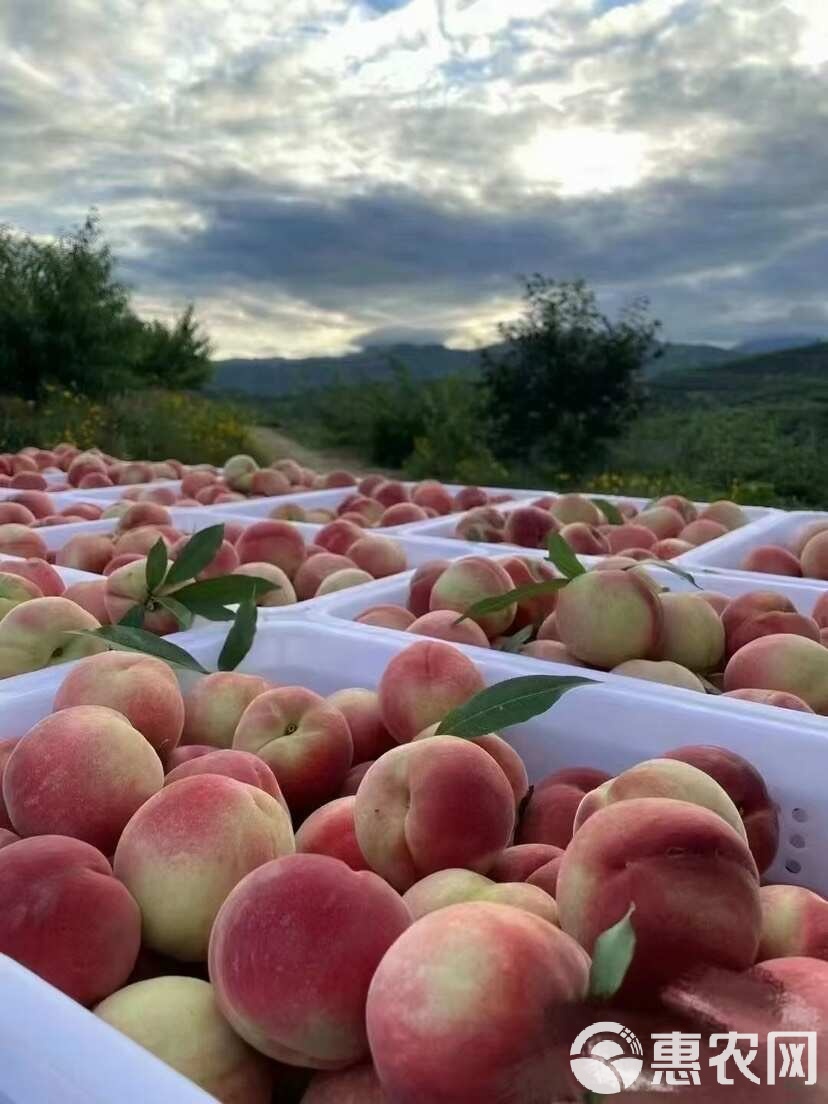 mc男同动画 我很乐意根据这些方向