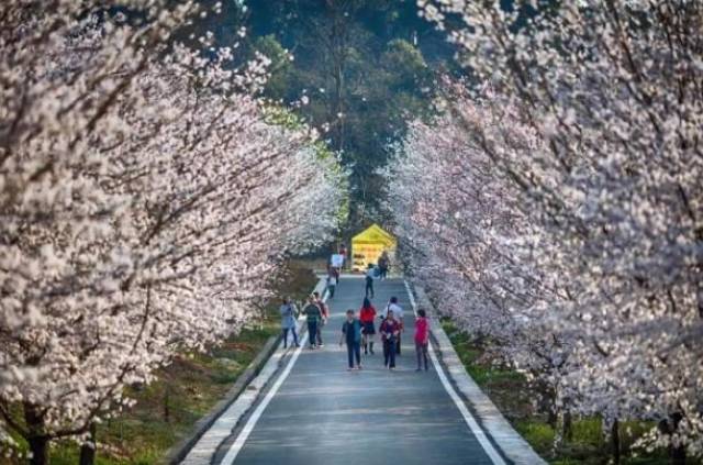 高清中文 高清中文而非物理分辨率