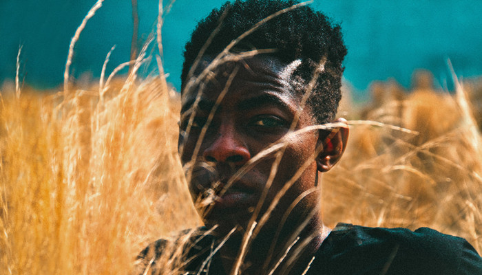 视频须灵犀 Adobe Premiere Pro的AI功能等