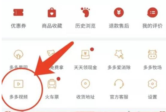 concetta licata六角琴在线观看 线观 康切塔·利卡塔
