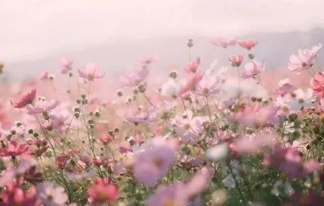 精品1区2区3区产品乱码 “精品1区、精品另外