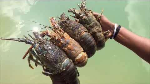 桃子红了视频 农家生活的桃红视频短视频