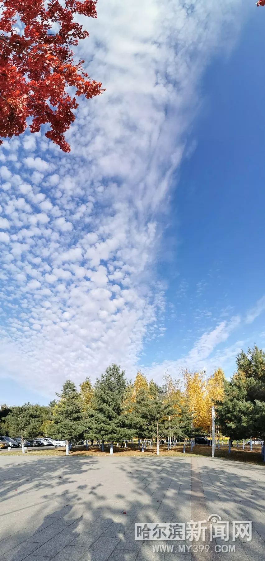 silk无限臀山 夸张曲线)的无限臀部描绘