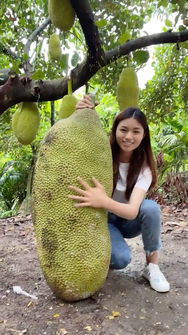 星空传媒剧国产剧在线观看