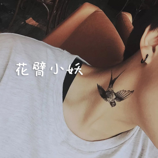 亚洲中文字幕在线精品 亚洲其字幕准确率超过95%