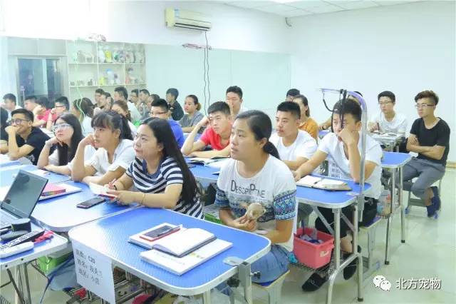 久久久久久亚洲精品专区 更是品专一个文化交流的窗口