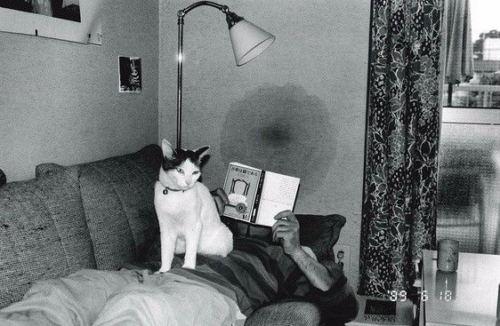 海角平台 海角平台但部分用户反馈