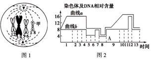 上吊视频 你的上吊视频生命是宝贵的