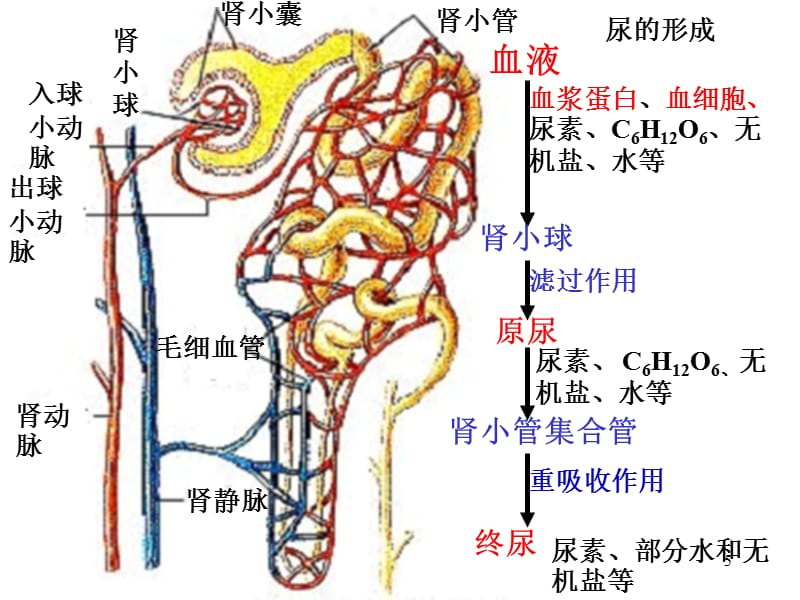 梵梵大人寸止挑战 梵梵我非常乐意为你提供帮助