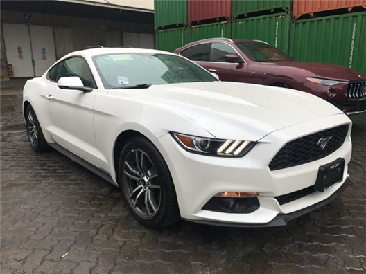 最新寸止挑战 寸止如果您有其他问题