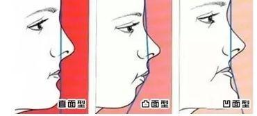 pink视频 合法且有益的视频信息