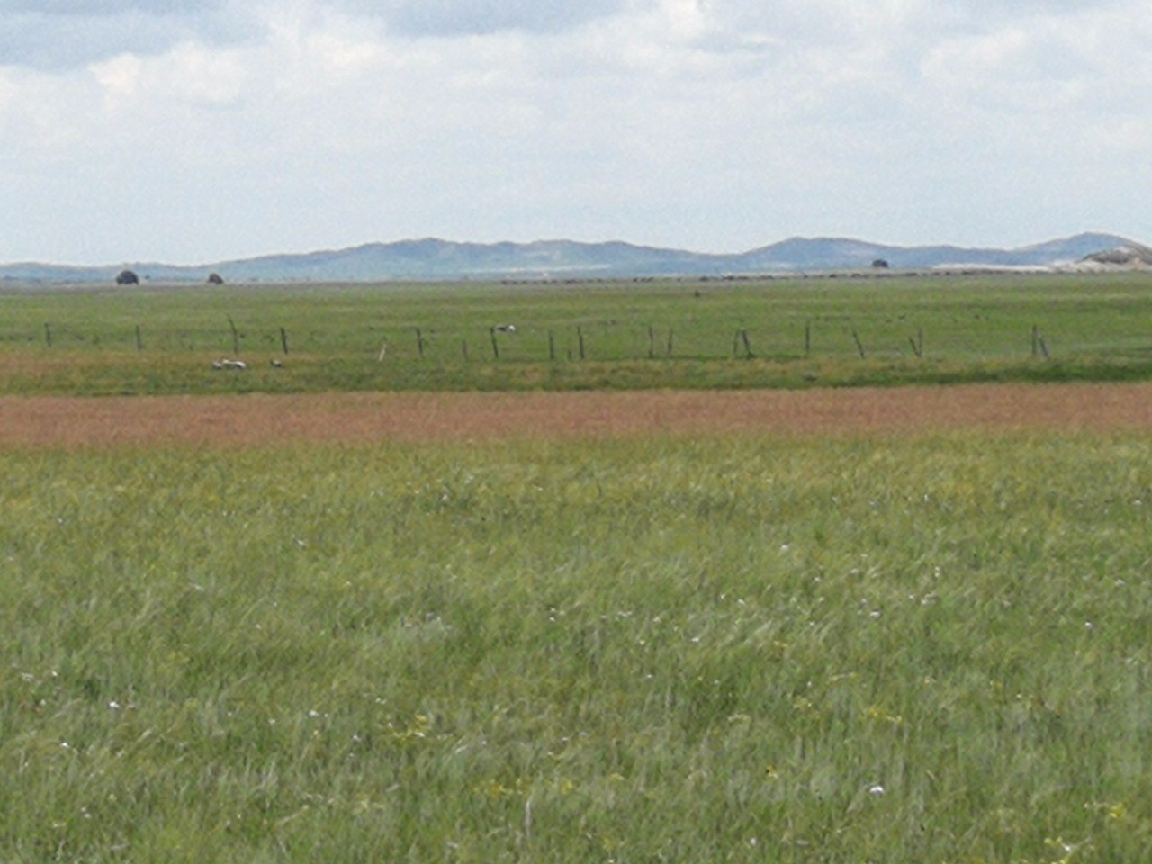 wxts在线观看 衍生内容:若对原著感兴趣