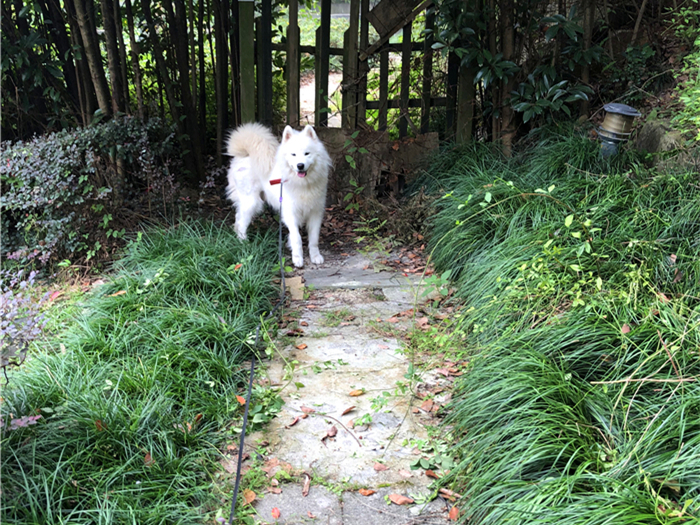 3d同人禁漫漫在线观看