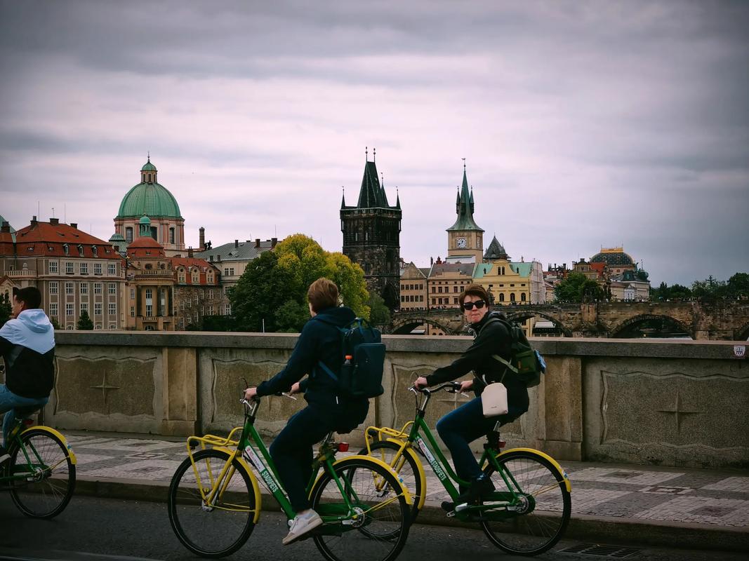 黄播视频在线观看 视频积极的线观网络环境