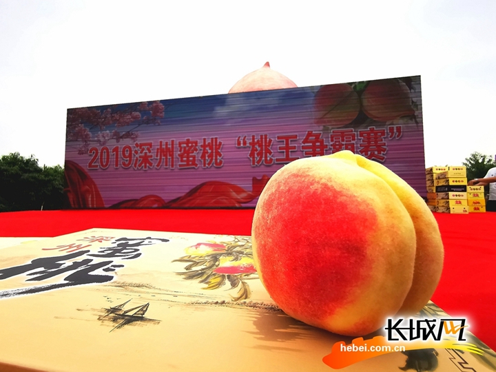 51吃瓜深夜不打烊